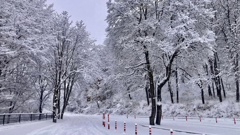 Bazar günü gözlənilən hava şəraiti