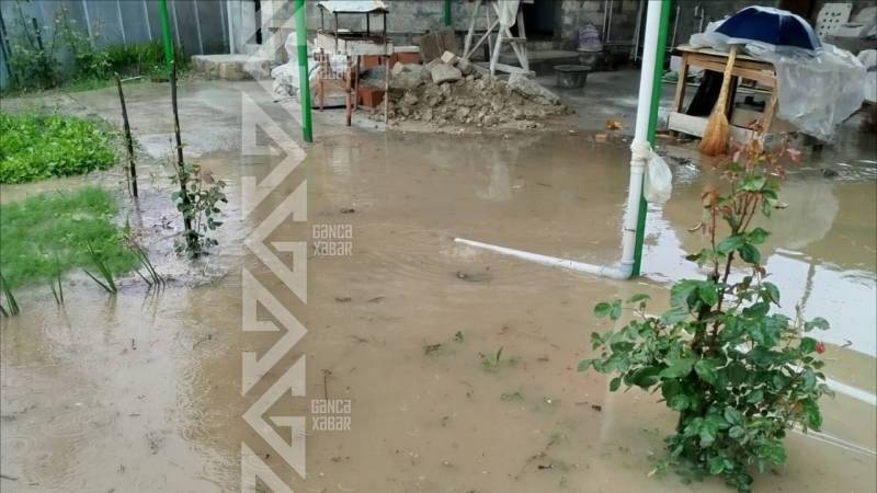 Mingəçevirdə arx daşdı, 18 yaşayış evinə su doldu