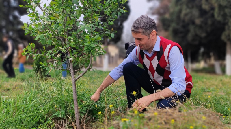 Məktəblərimizdən birində Yer günü münasibəti ilə ağaclara qulluq olunub - FOTO