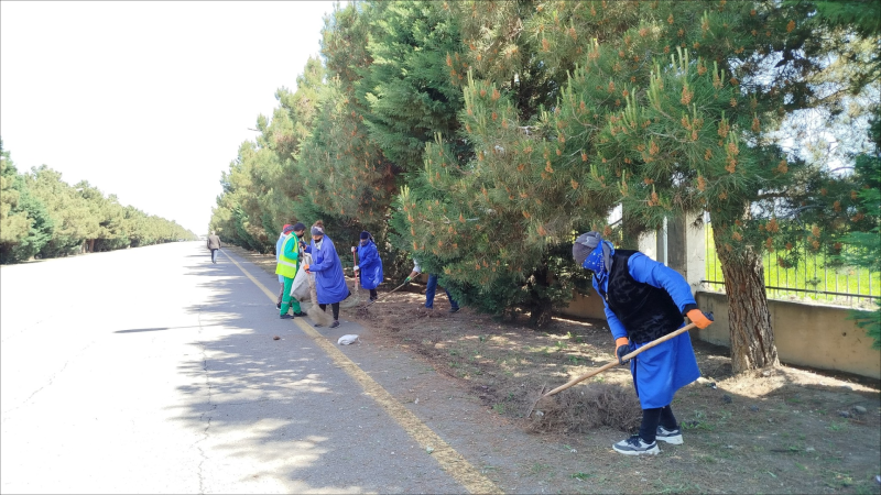 Gəncədə növbəti təmizlik aksiyası - FOTO