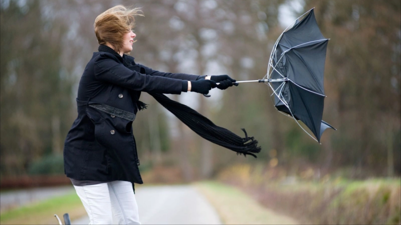 Yağış yağır, külək əsir - FAKTİKİ HAVA