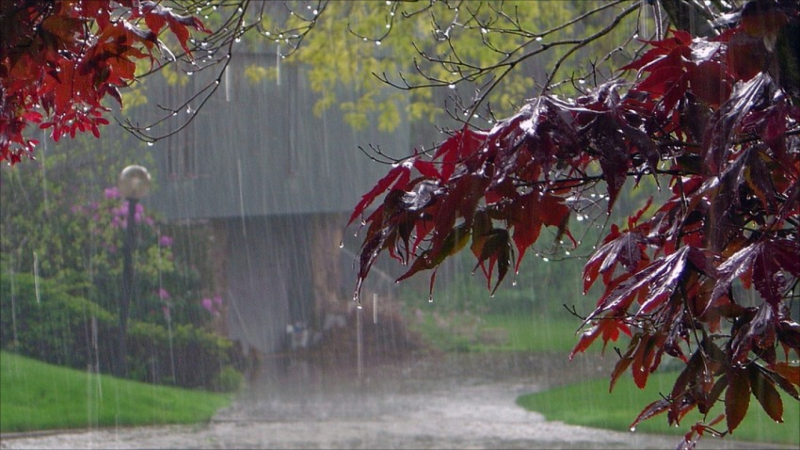 Külək əsib, yağış yağıb - FAKTİKİ HAVA