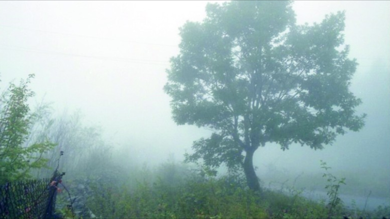 Duman olub, yağış yağıb - FAKTİKİ HAVA