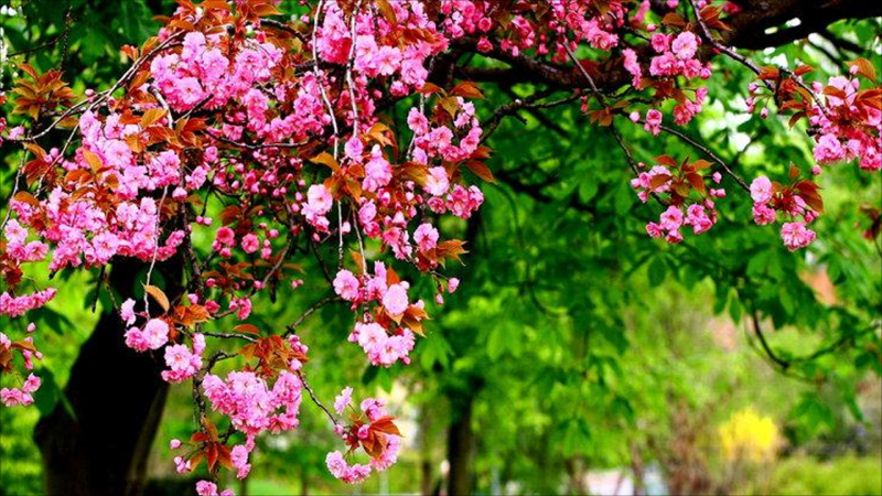 Sabah 23 dərəcə isti olacaq - PROQNOZ