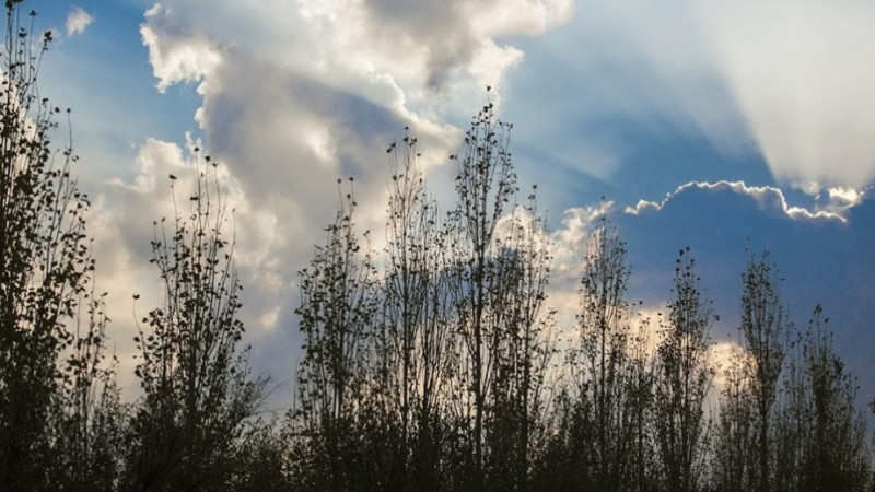 Sabahın hava proqnozu