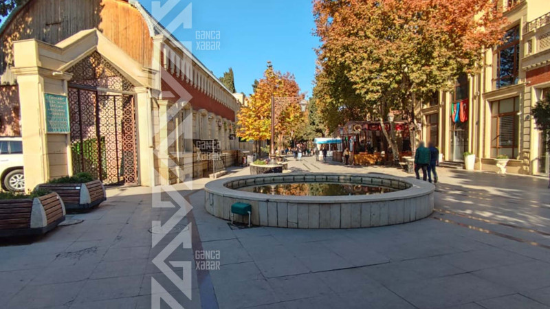 Gəncədə zibil qutuları problemi