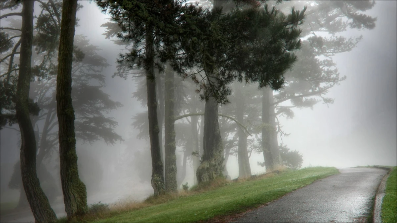 Duman olacaq, külək əsəcək - PROQNOZ