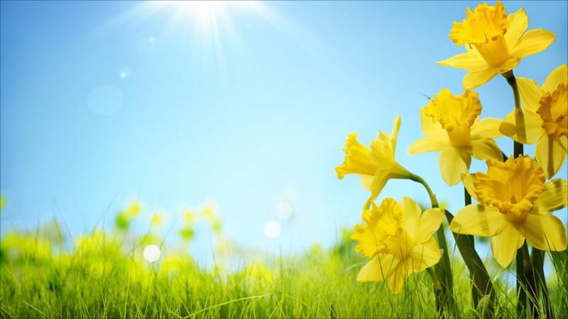 Sabah 29 dərəcə isti olacaq - PROQNOZ