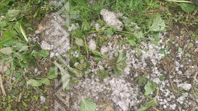 Güclü dolu fəsadlar törədib - FOTO