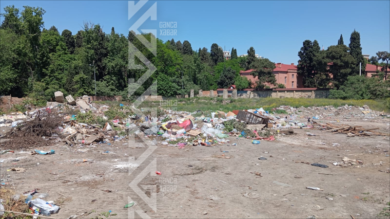 Gəncədə zibillik mənbəyinə çevrilən küçə - FOTO