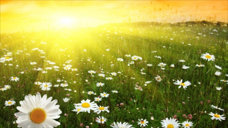 Sabah Gəncədə 28 dərəcə isti olacaq - PROQNOZ