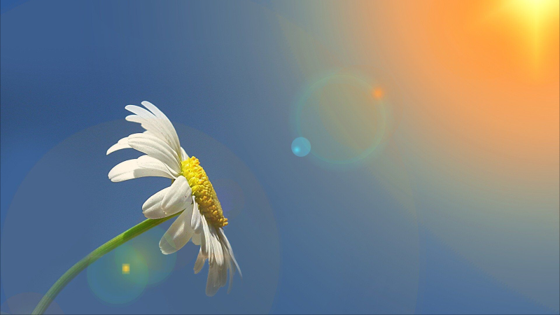 Sabah 32 dərəcə isti olacaq - PROQNOZ