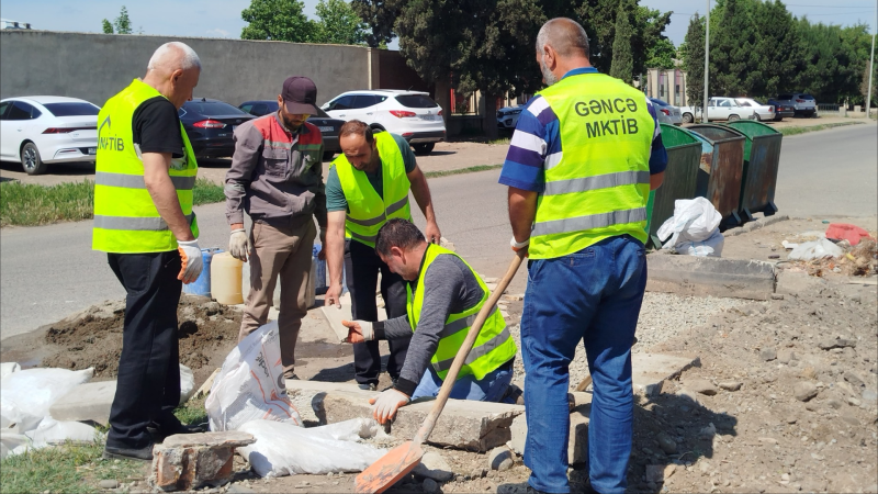 Sevindirici xəbər: Gəncədə zibil konteynerlərinin ətrafı abadlaşdırılır  - FOTO
