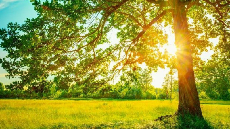 Sabah 33 dərəcə isti olacaq