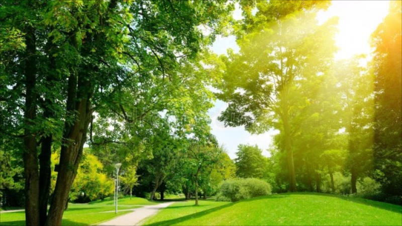 Sabah 33 dərəcə isti olacaq