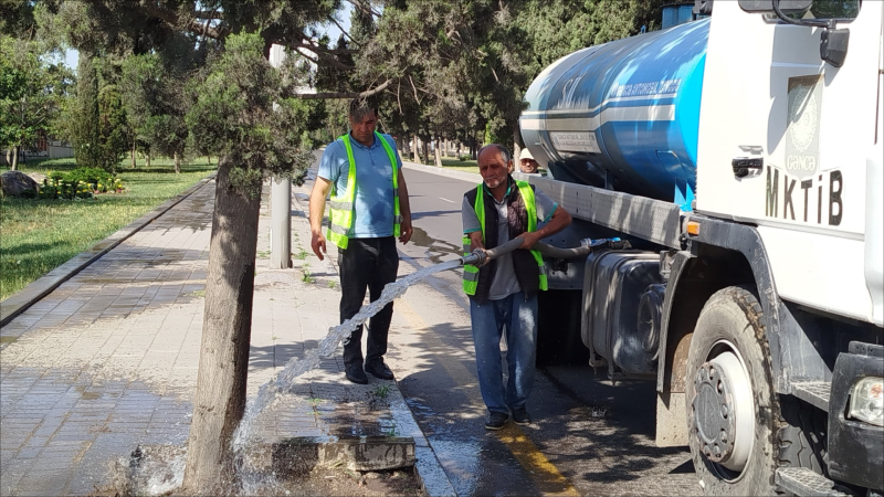 İstilərə qarşı yaşıl səfərbərlik- FOTO