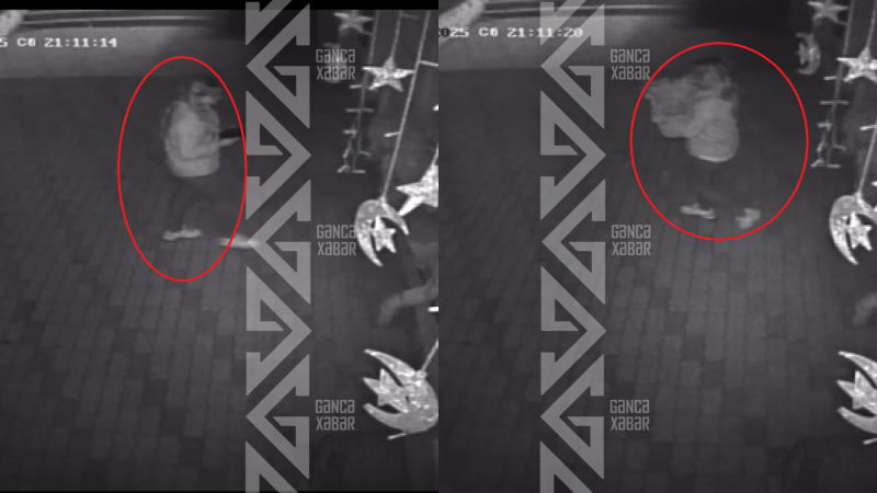 Gəncədə sahibkarın səbri tükəndi: “Yenə gəlib güllərimi apardı!” - VİDEO