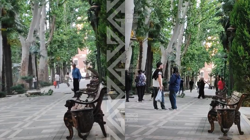 Xan Bağında yaşlı kişi ölümdən döndü - VİDEO