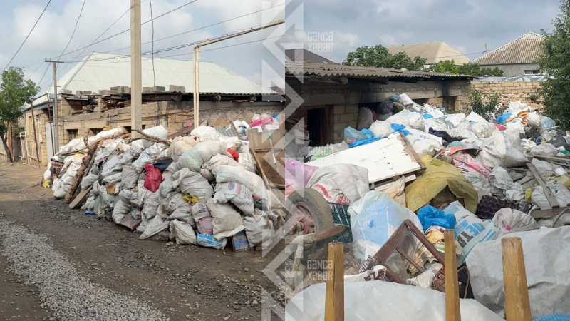 Gəncədə ər-arvad zəbt etdikləri evi zibilliyə çeviriblər - İDDİA - VİDEO