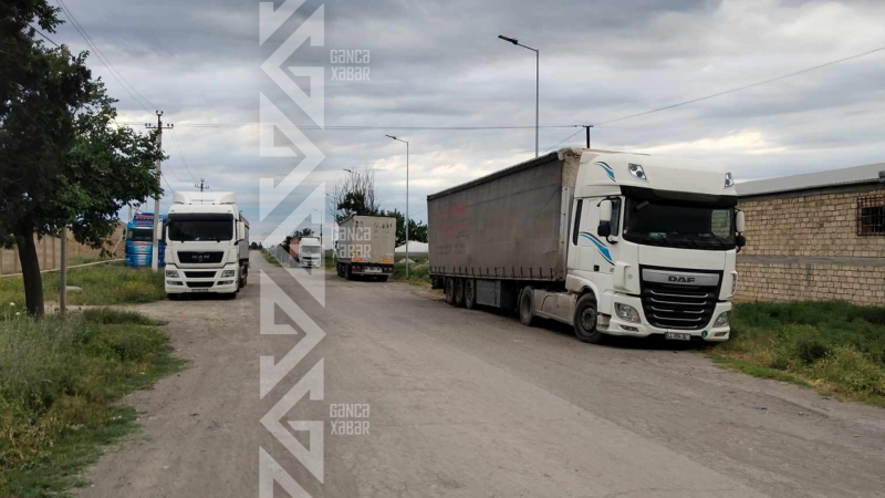 Gəncədə iylənmiş kartof qalmaqalı - VİDEO