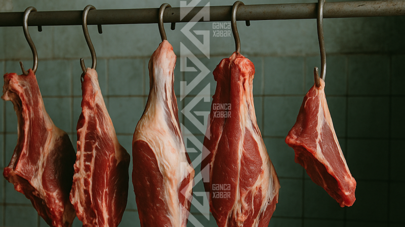 Gəncədə ət istehsalı 34 faiz azalıb