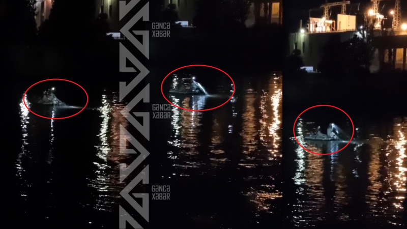 Samuxda balıqlara gecə hücumu - VİDEO