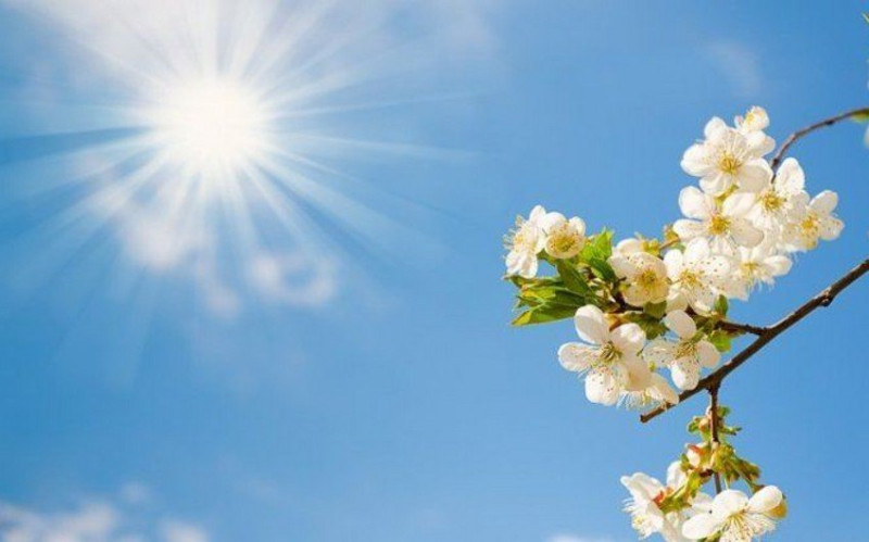 Havalar qızacaq - PROQNOZ