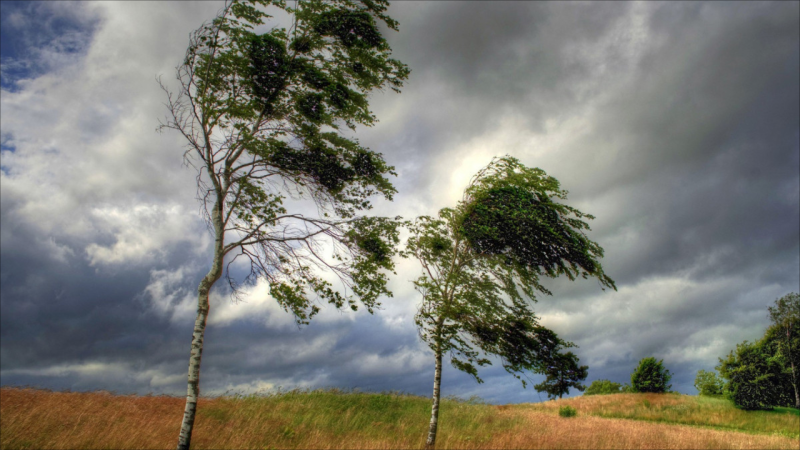 Yağıntılı və küləkli hava müşahidə olunur - FAKTİKİ HAVA