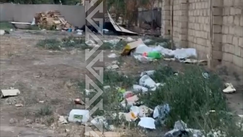 Gəncədəki supermarketlərdən biri zibilləri küçəyə tökür