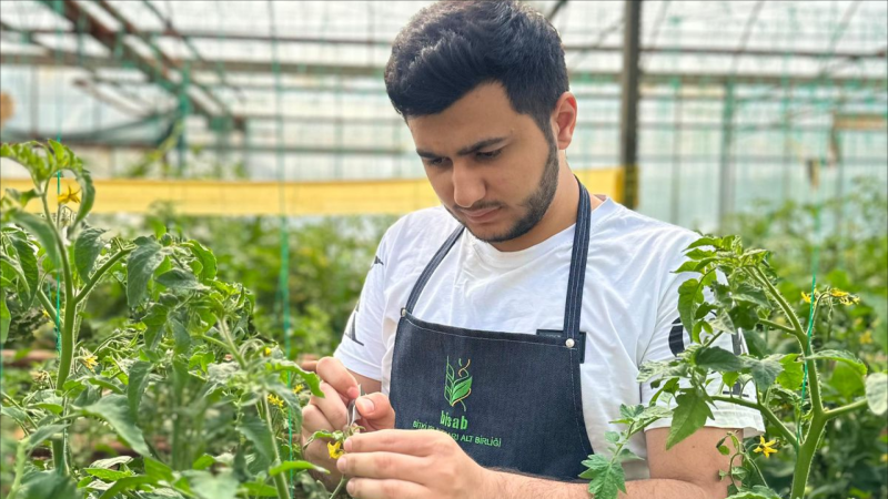 Türkiyədə BISAB sertifikatı alan ilk azərbaycanlı tələbə - FOTO