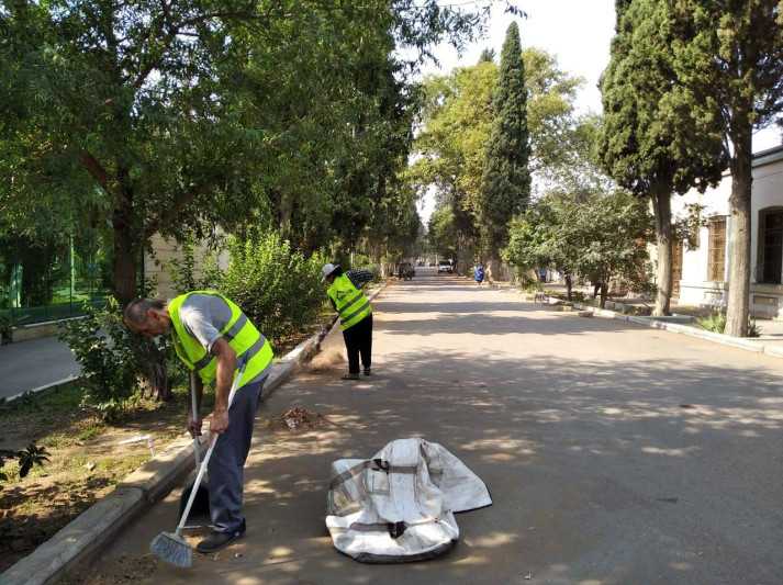 Gəncədə park təmizlənib - FOTO