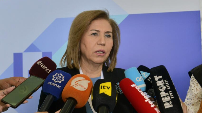 Komitə sədri Gəncədə yeniyetmələrin başına gələn faciələrlə bağlı danışdı