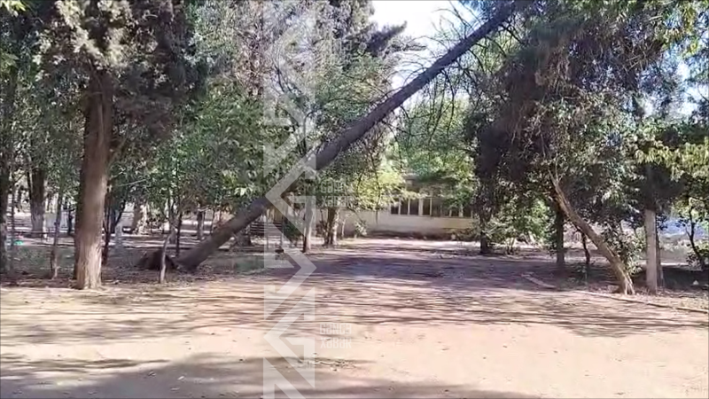 Gəncədə parkda təhlükəli mənzərə