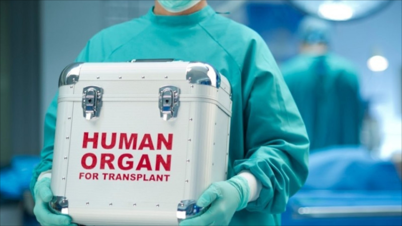 Cari ildə həyata keçirilən orqan transplantasiyası əməliyyatlarının nəticəsi açıqlanıb