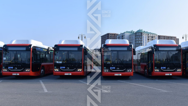 Bu avtobuslar Gəncədə istifadəyə veriləcək