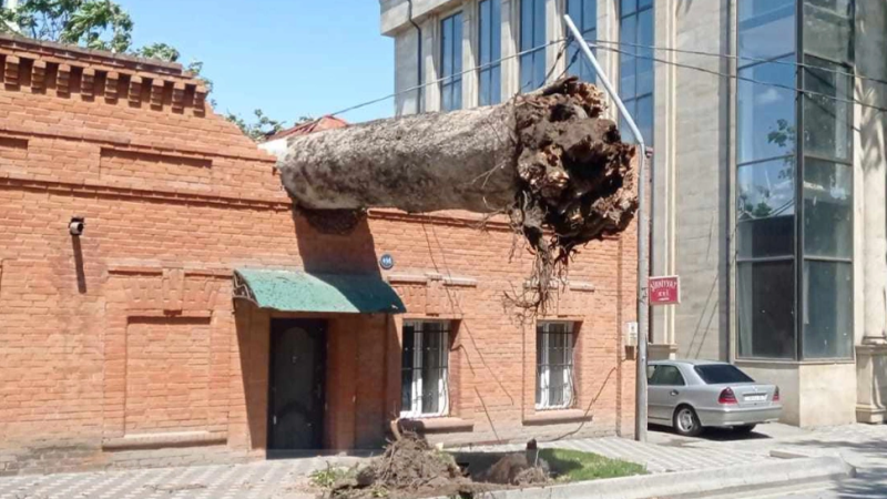 Sabah Gəncədə güclü külək olacaq