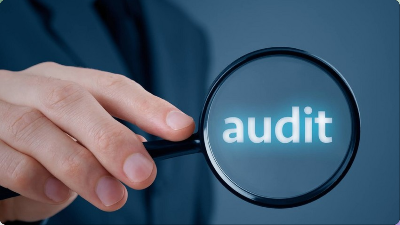 “Daşkəsən Dəmir Filiz” auditor seçib