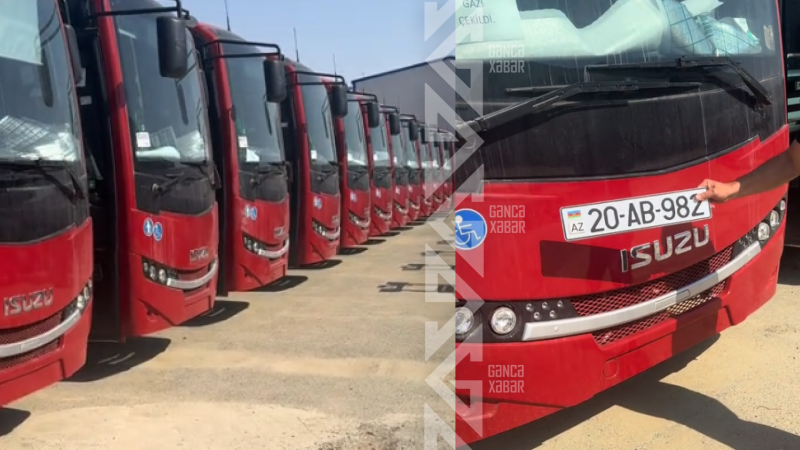 Gəncəyə yeni KONDİSİONERLİ avtobuslar gətirildi