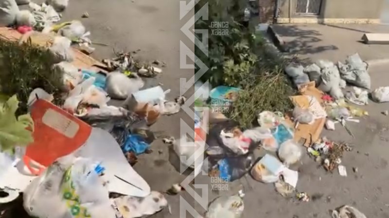 Gəncənin mərkəzində zibil problemi