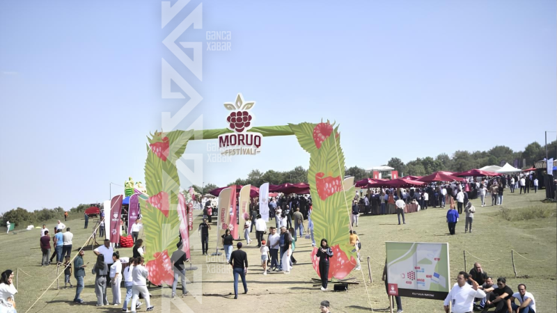 “II Moruq Festivalı” keçiriləcək
