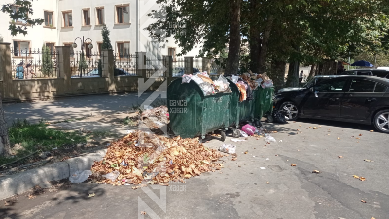 Gəncədə şəfa ocağının önündə xəstəlik mənbəyi