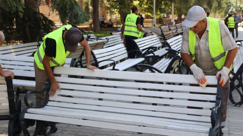 MKTİB tərəfindən skamyalar, güldanlar boyanıb - FOTO
