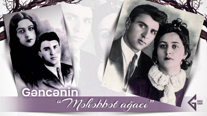 Gəncənin məhəbbət ağacı