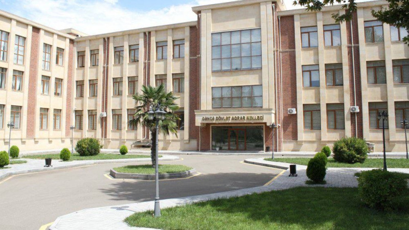 Gəncə təhsil ocağına qəbul 100% olub