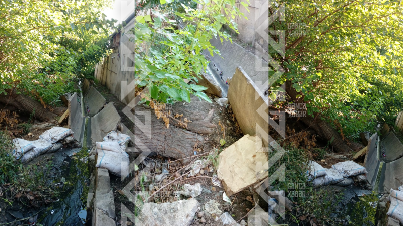 Gəncədə ağaclar iri bərəni dağıdıb