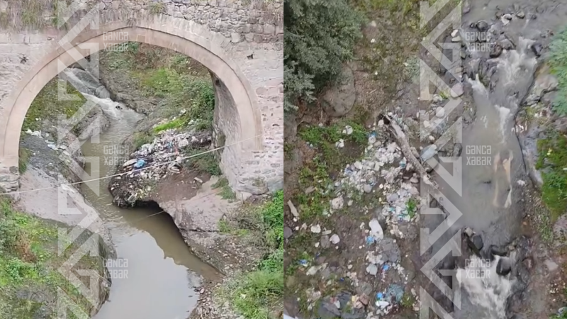 Çay intensiv şəkildə çirkləndirilir