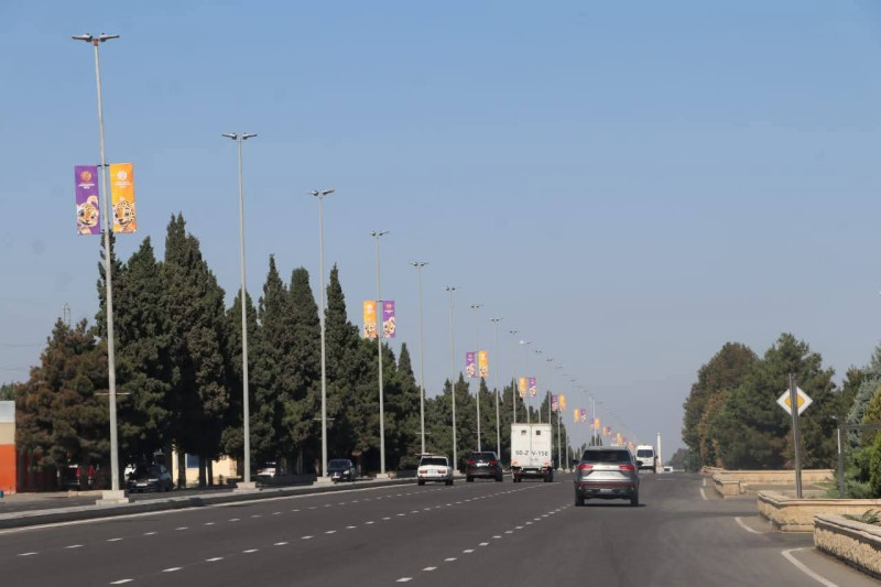 Gəncədə hava limanı yolunda təmizlik aksiyası keçirilib