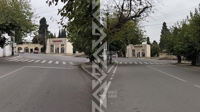 Gəncədə məktəb qarşısında işıqfor ağacların arasında itib