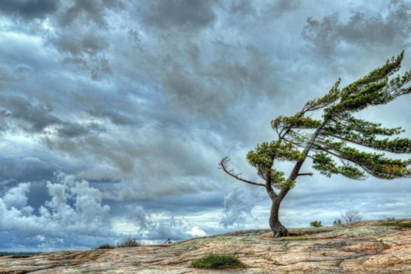 FHN əhaliyə müraciət edib