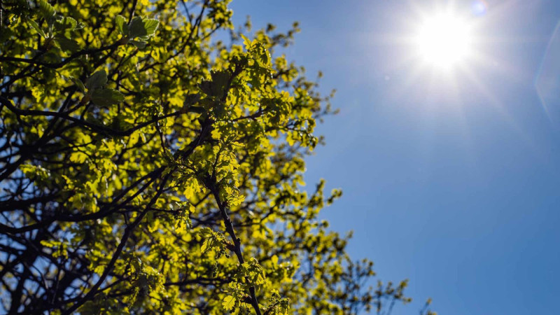 Sabahın hava proqnozu açıqlanıb